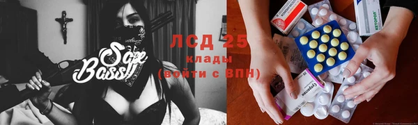 ешки Алексин