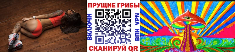 MEGA как войти  Куса  Псилоцибиновые грибы мухоморы 